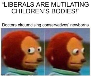 ktbl80ad7ap91.jpg