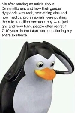 mkeae3pkewp91.jpg