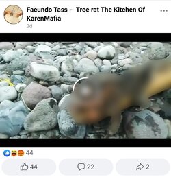 censored post 3.jpg