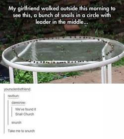 1669517716942.png