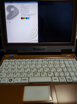 bear computer 1669463294616438.jpg