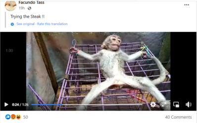 1669534738009.png