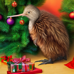 christmaskiwi2.png