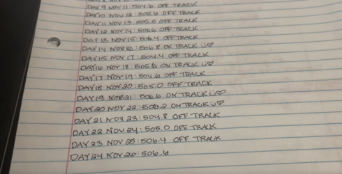 Screenshot 2022-11-29 at 08-36-00 Black Friday shopping haul & body dysmorphia weigh in days 2...png