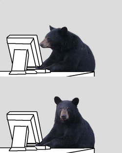 1669723056623.png