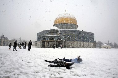 snow_angels.jpg