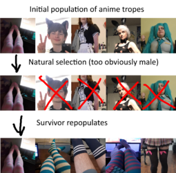 1669754888470.png