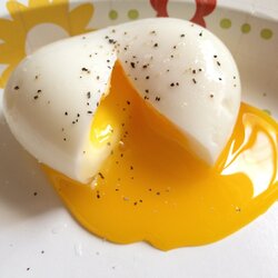 egg.jpeg