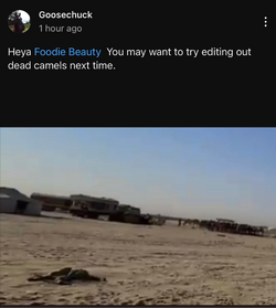 Screenshot_20221130-133024~2.png