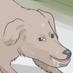 2b9cb98a-e739-40ae-b3da-7b9ca2f8c5e6-profile_image-300x300.png