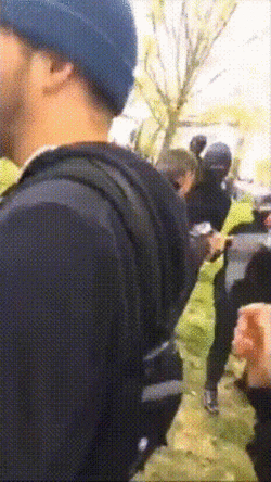 1669540906462506.gif