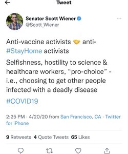 wiener.jpg