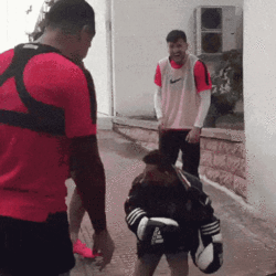 midget-boxing.gif