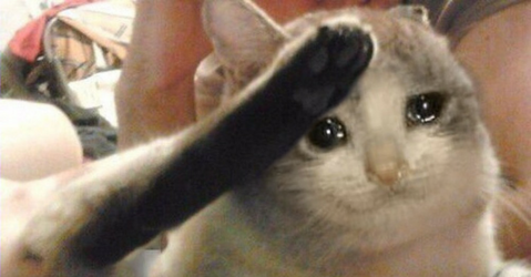 31hmh7de5pl51.png