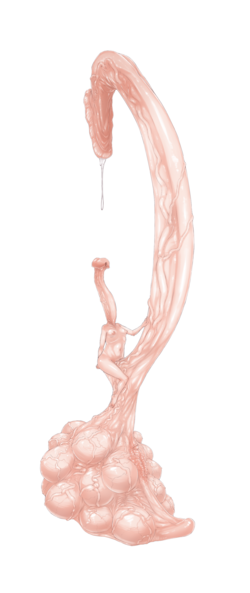 DB857963-69B7-49EE-9DAD-F4FB11F3D1C6.png