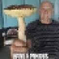 317936262_1201262770601450_5218649099755817776_n.jpg