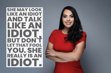 LooksLikeAnIdiotButDontLetItFoolYou.jpg