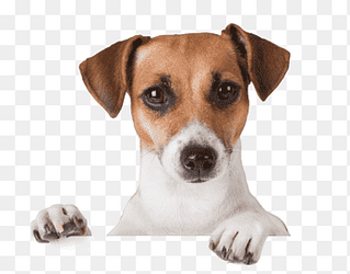1670131024585.png