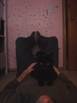 1670132069241.png