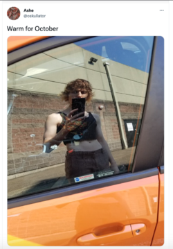taylor2.png