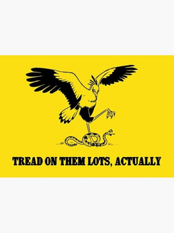 1670166962378.png