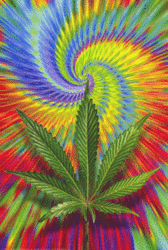 cannabis10rw3.gif