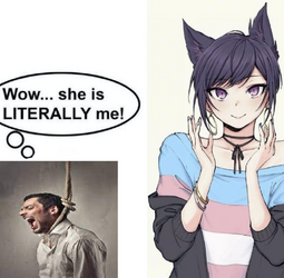 trannys.png