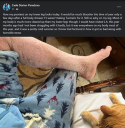 1670285516517.png