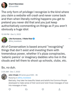 privilege.png