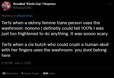 embarrassing terfs 2.PNG
