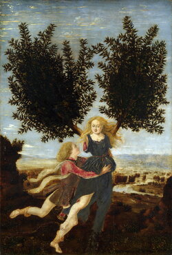Pollaiolo,_Piero_del_-_Apollo_and_Daphne.jpg