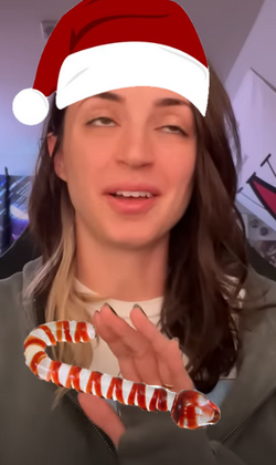 new profile photo gibi's christmas dildo.png