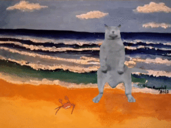 ezgif-4-379fdf489b.gif