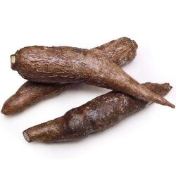 image-of-yuca-root-vegetables-14763548475436_600x600.jpg
