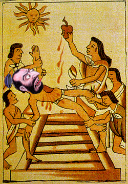 temp.png