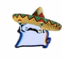 mexican cat dancin.gif