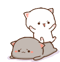 swaeprint-swaeprint-cat.gif