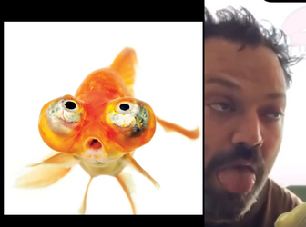 Untitled.png