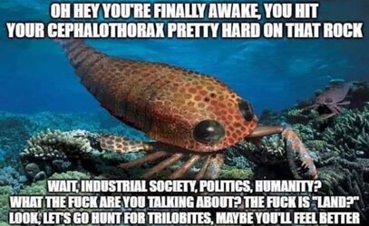 1670900666417.jpeg