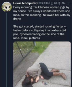 23498723.png