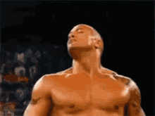 the-rock.gif