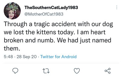 2 more dead kittens, litter 1.jpg