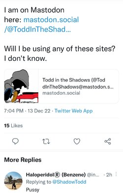 Screenshot_20221213-220052_Twitter.jpg