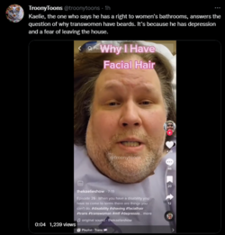 ethan ralph looking troon.PNG