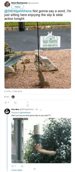 1670993037569.png