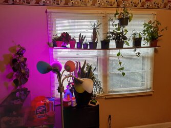 20221209_141050.jpg