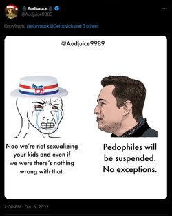 ElonMuskVSTwatterPervs.jpg