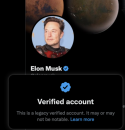 Elon Musk.png
