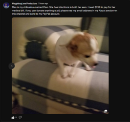 screencapture-youtube-channel-UCz6wRlCK92gBY2lRuP6Cy4Q-community-2022-12-16-11_52_36 (2).png