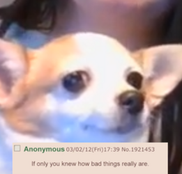 Dog.png